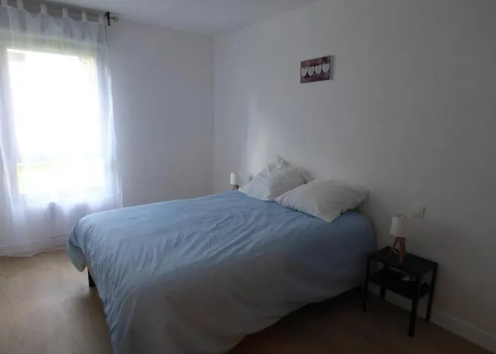 Appartement T3 Spacieux, Renove En 2020 -pkg-metro Toulouse